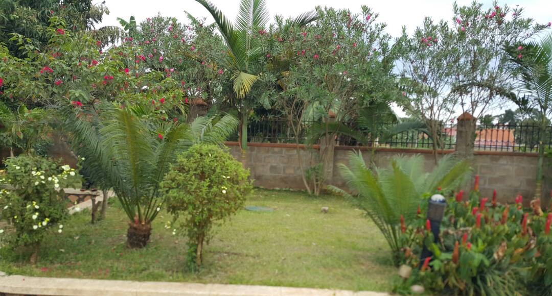 WhatsApp Image 2021-06-10 at 3.44.07 PM 1.jpeg